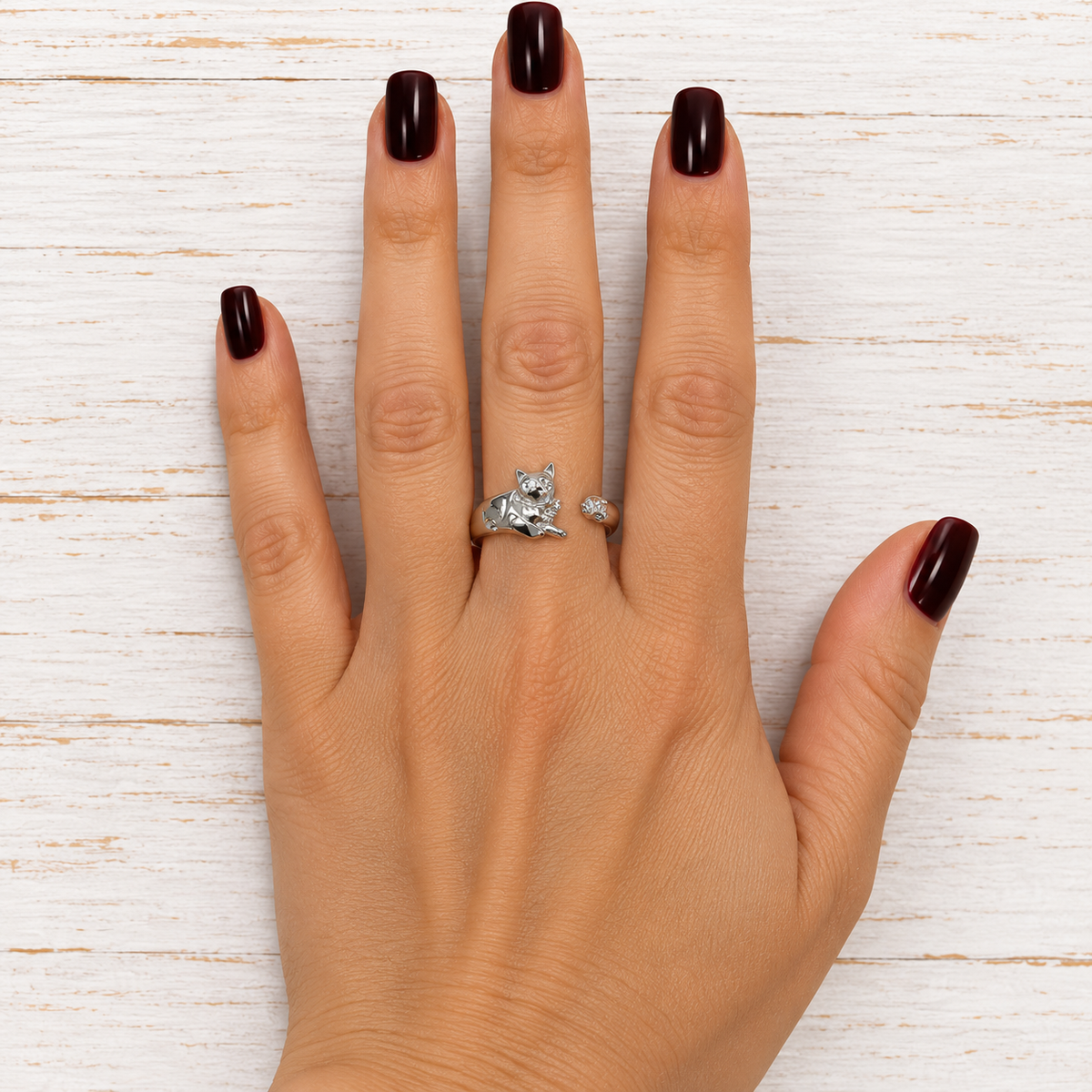 Anillo Gato