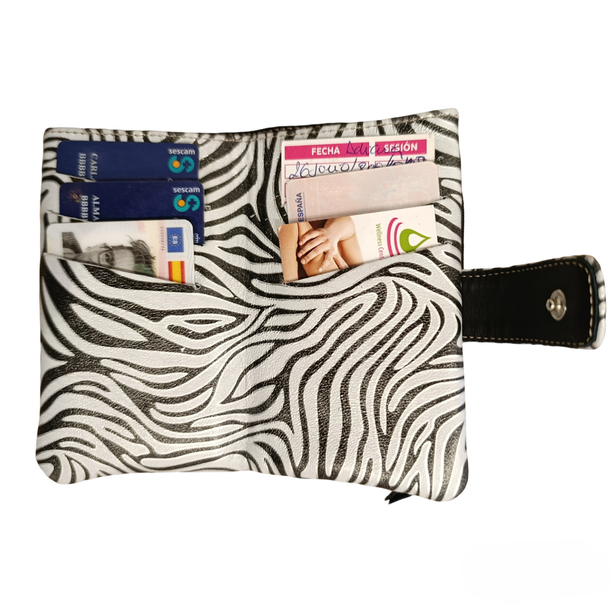 Cartera Nube