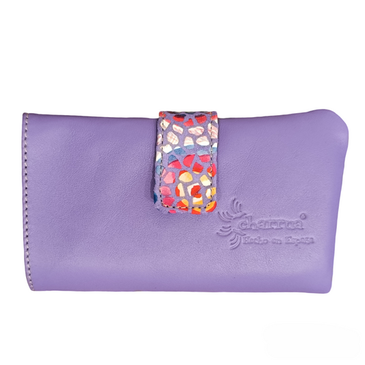 Cartera Nube