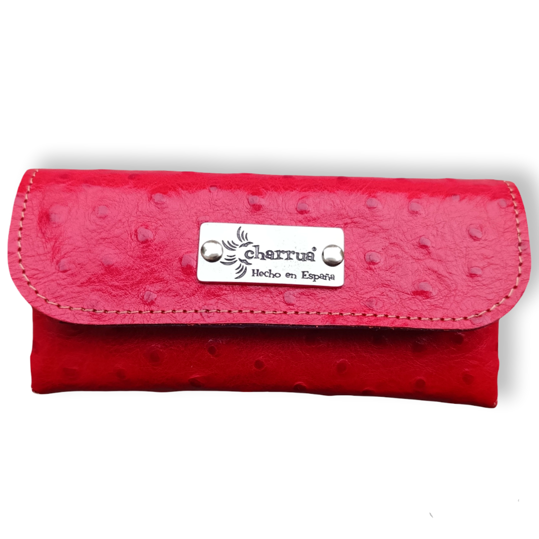 Funda de gafas