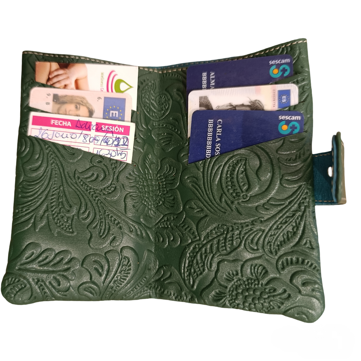 Cartera Nube