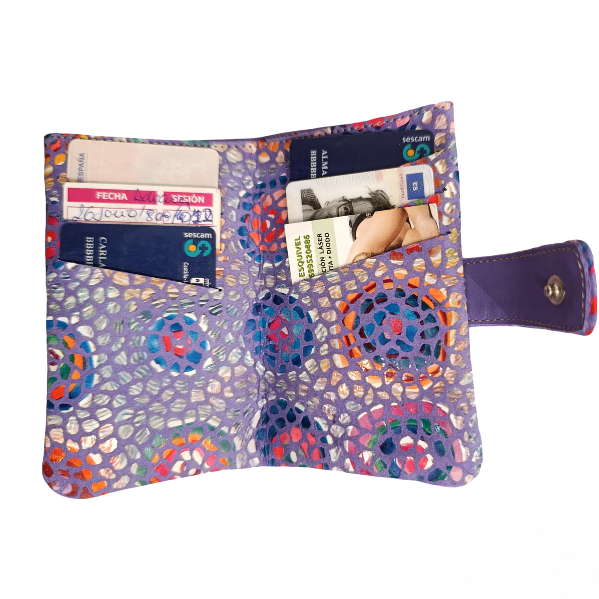 Cartera Nube