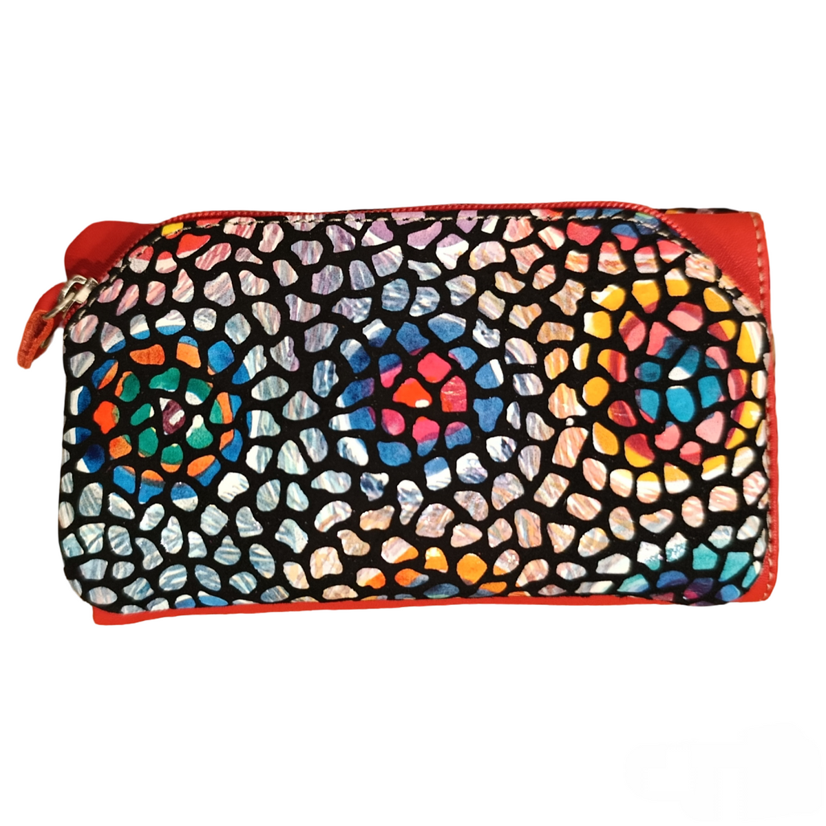 Cartera Nube