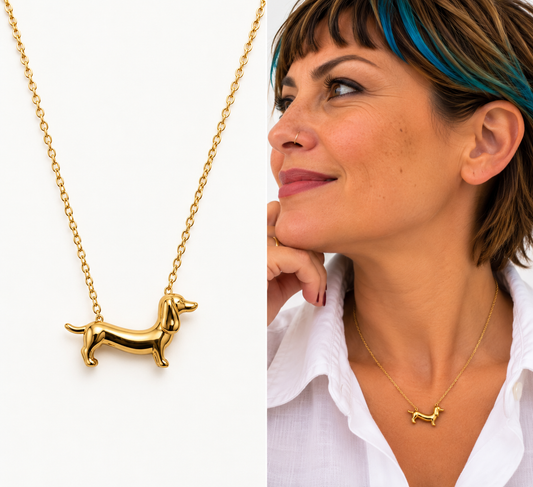 Collar Perro